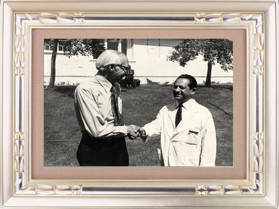 درگذشت استاد مهدی قوامیان